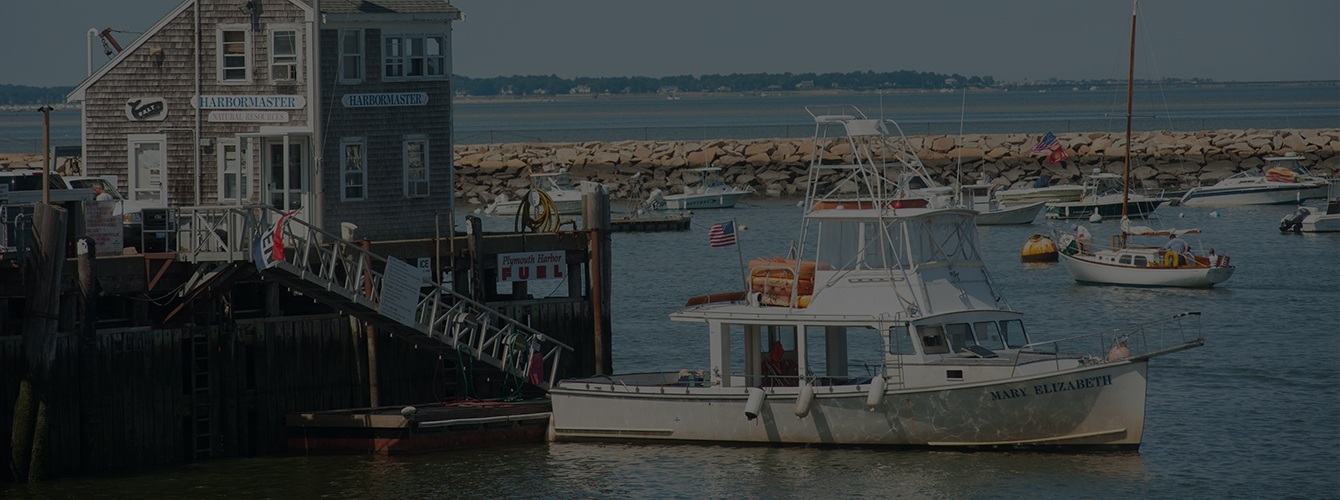 Shoreline with boats and docks