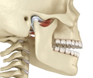 Illustration of human jaw against white background