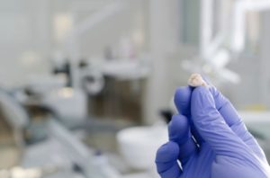 Close-up of gloved hand holding extracted tooth